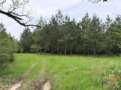 Discover the peace, privacy, and endless potential of this - photo 24