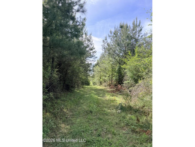 Discover the peace, privacy, and endless potential of this - photo 26