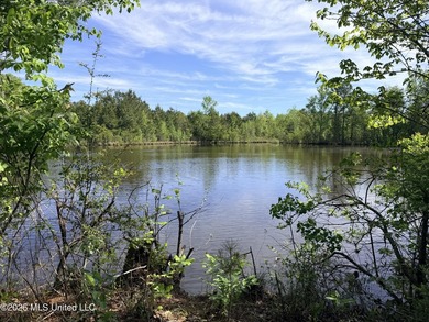 Discover the peace, privacy, and endless potential of this - photo 30