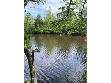 Discover the peace, privacy, and endless potential of this - photo 31