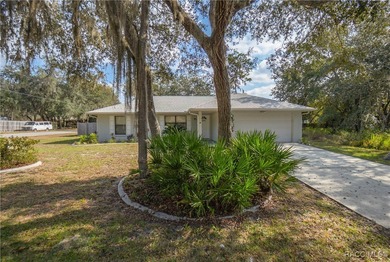 Tsala Apopka Chain of Lakes Home For Sale in Inverness Florida