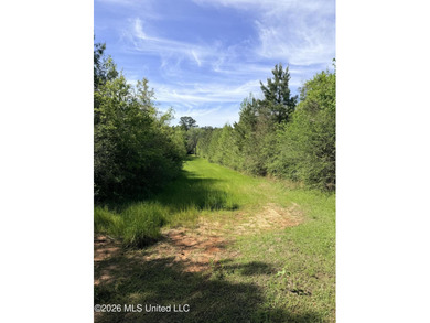 Discover the peace, privacy, and endless potential of this - photo 36
