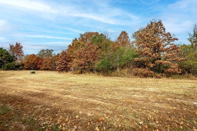 Eagle Ridge Rd. Lots for sale with underground utilities already - photo 39