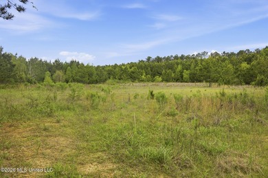 Discover the peace, privacy, and endless potential of this - photo 44