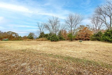 Eagle Ridge Rd. Lots for sale with underground utilities already - photo 45