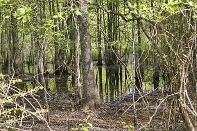 Discover the peace, privacy, and endless potential of this - photo 48