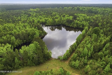 Discover the peace, privacy, and endless potential of this - photo 49