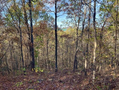 Eagle Ridge Rd. Lots for sale with underground utilities already - photo 50