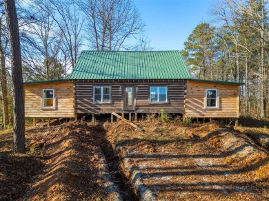 Lake Home For Sale in Dunmor, Kentucky