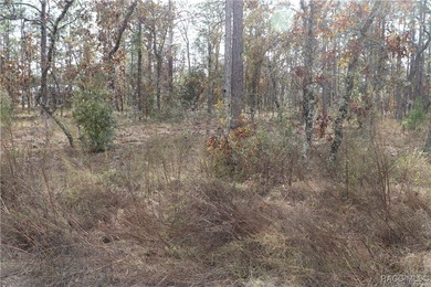 Bonable Lake Lot For Sale in Dunnellon Florida