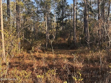 TRIPLE LOT 210 x150. Buy now for future investment. Lots have - photo 3