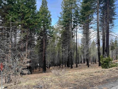 Lake Almanor Lot For Sale in Chester California