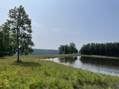 (private lake, pond, creek) Acreage For Sale in Jasper Tennessee