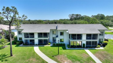 WELCOME TO CAREFREE FLORIDA LIVING IN THIS BEAUTIFULLY UPDATED - photo 30