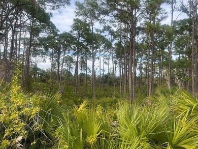 Build your Florida dream home on this residential lot located in - photo 1