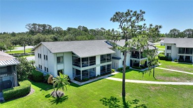 WELCOME TO CAREFREE FLORIDA LIVING IN THIS BEAUTIFULLY UPDATED - photo 32