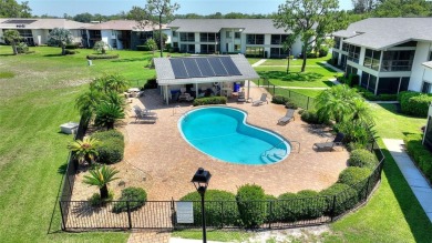 WELCOME TO CAREFREE FLORIDA LIVING IN THIS BEAUTIFULLY UPDATED - photo 37