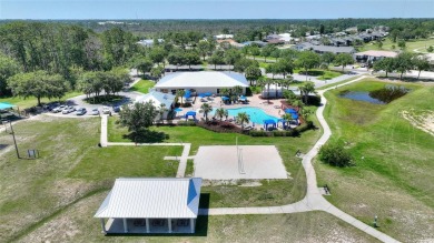 WELCOME TO CAREFREE FLORIDA LIVING IN THIS BEAUTIFULLY UPDATED - photo 43
