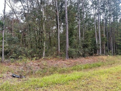 Build your dream home! This is a 1.76 acre tract of land is - photo 6
