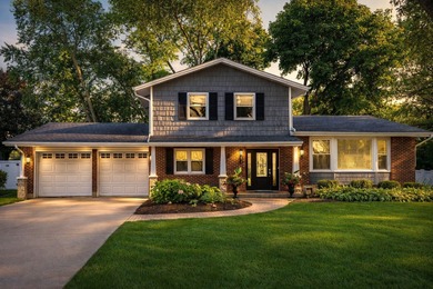 (private lake, pond, creek) Home For Sale in Palatine Illinois