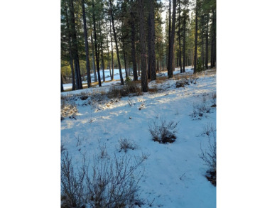 (private lake, pond, creek) Lot For Sale in Portola California