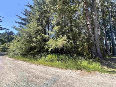 Sunny 0.68-acre lot for sale, just 3 miles from the beach in - photo 1