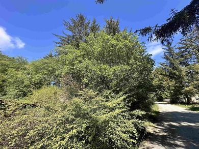 Sunny 0.68-acre lot for sale, just 3 miles from the beach in - photo 5