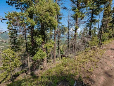 Be amazed by 180 degrees of unobstructed views with this 5 - photo 12