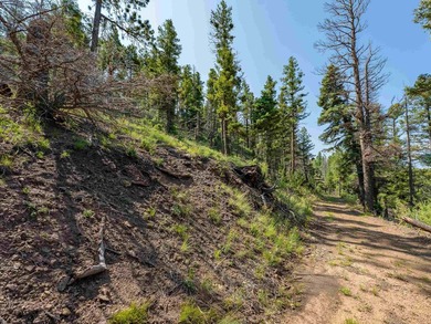 Be amazed by 180 degrees of unobstructed views with this 5 - photo 14