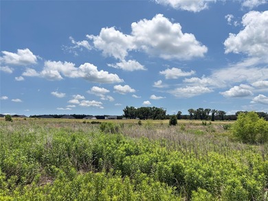 Huge development opportunity near Hwy 175! Whether you're - photo 15
