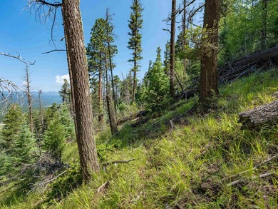 Be amazed by 180 degrees of unobstructed views with this 5 - photo 16