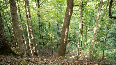 Poplar Springs Ranch is a highly improved 847+/- acre property - photo 18