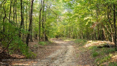 Poplar Springs Ranch is a highly improved 847+/- acre property - photo 19
