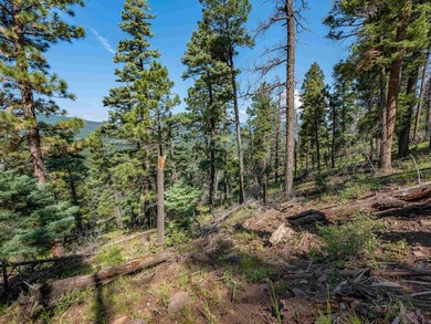 Be amazed by 180 degrees of unobstructed views with this 5 - photo 19