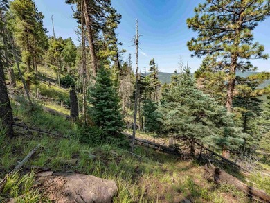 Be amazed by 180 degrees of unobstructed views with this 5 - photo 20