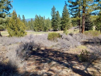 (private lake, pond, coastal) Lot For Sale in Portola California