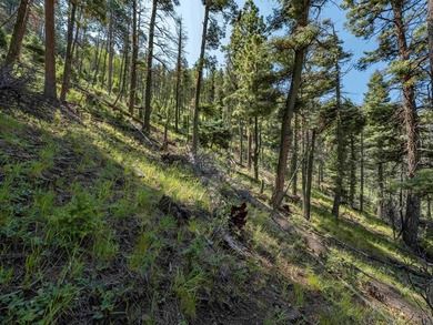 Be amazed by 180 degrees of unobstructed views with this 5 - photo 21