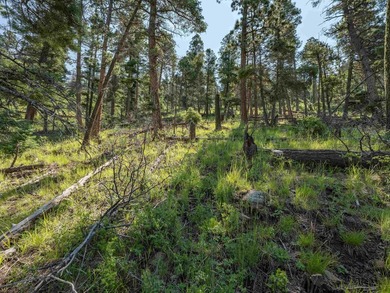 Be amazed by 180 degrees of unobstructed views with this 5 - photo 22