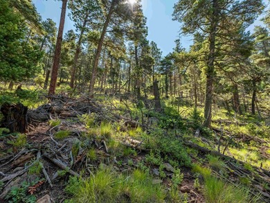 Be amazed by 180 degrees of unobstructed views with this 5 - photo 23