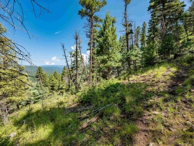 Be amazed by 180 degrees of unobstructed views with this 5 - photo 24