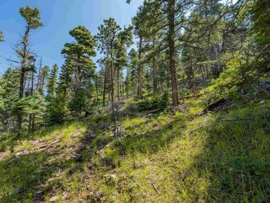 Be amazed by 180 degrees of unobstructed views with this 5 - photo 25