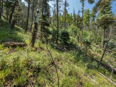 Be amazed by 180 degrees of unobstructed views with this 5 - photo 26