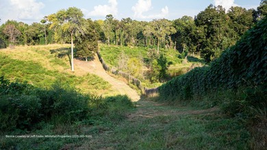 Poplar Springs Ranch is a highly improved 847+/- acre property - photo 29