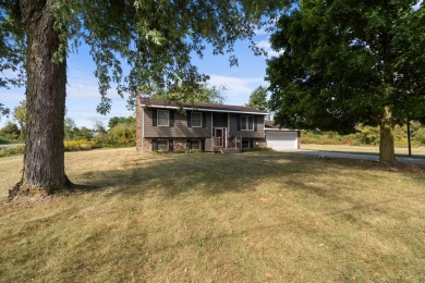 Lake Home For Sale in Brooklyn, Michigan