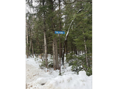 Foster Pond Acreage For Sale in Bridgton Maine