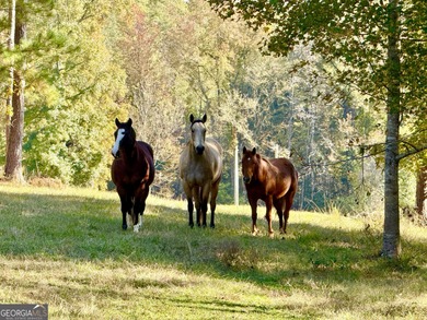 Lake Home For Sale in Warm Springs, Georgia