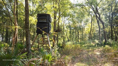 Poplar Springs Ranch is a highly improved 847+/- acre property - photo 44