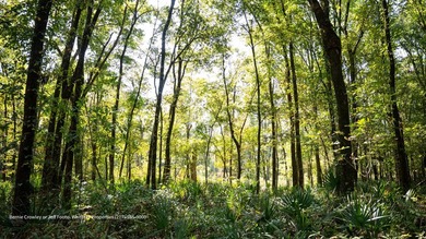 Poplar Springs Ranch is a highly improved 847+/- acre property - photo 45