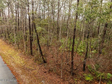 NICE Lot located in OCEAN SPRINGS TO BUILD YOUR HOME. This 1/4 - photo 2