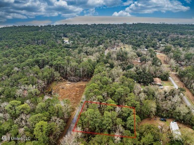 NICE Lot located in OCEAN SPRINGS TO BUILD YOUR HOME. This 1/4 - photo 4